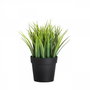 Aberto Design Maceta Decorativa Negro y Verde